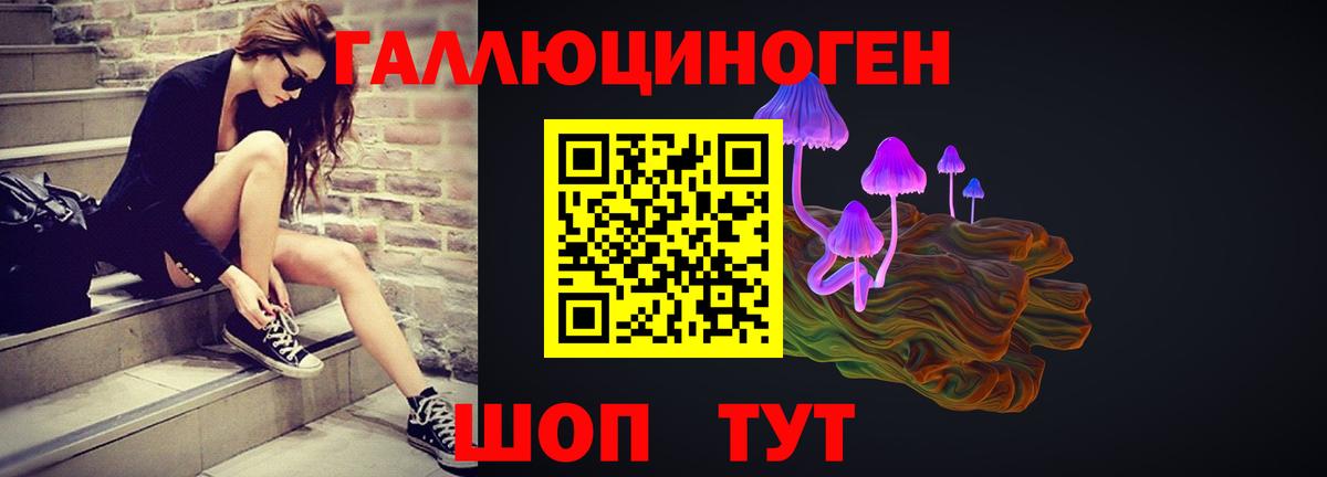 Галлюциногенные грибы ЛСД  Галлюциногенные грибы ЛСД  Новокубанск  Вход с VPN 